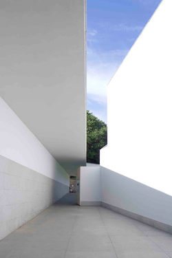 Rute Raposo  Arquitectura