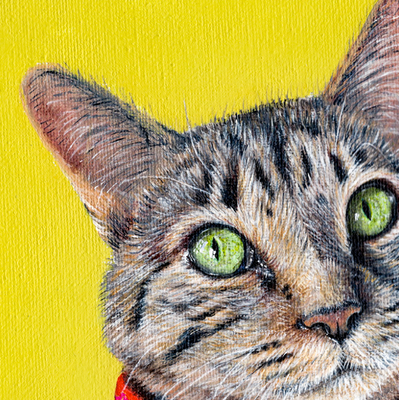 Screen Shot 2021-09-30 at 12.41.50 PM.png