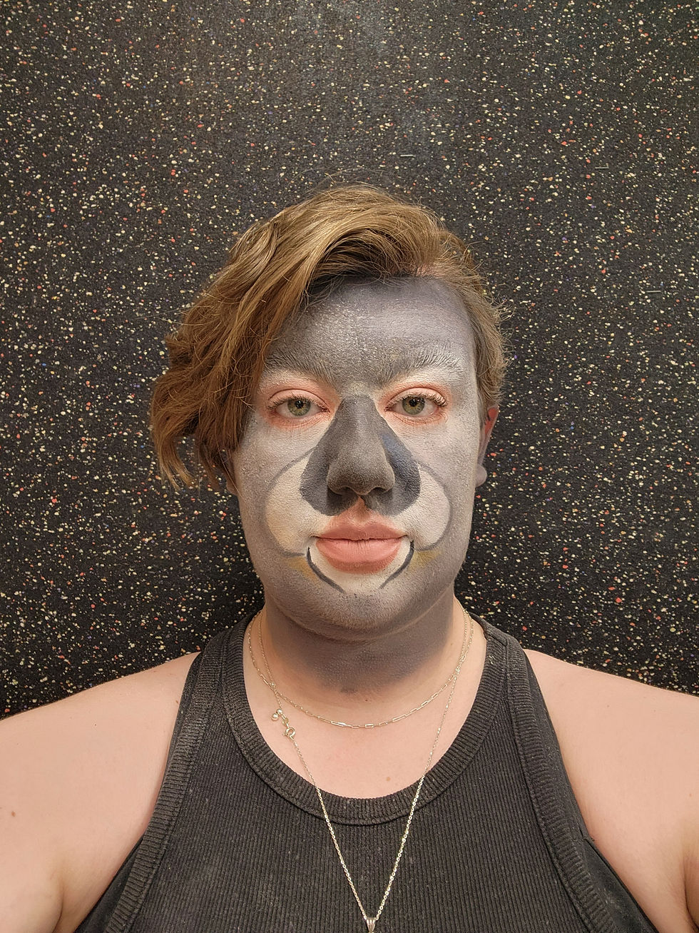 koala front