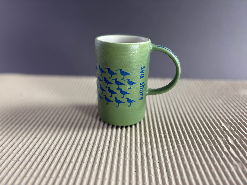 sea shore - whimbrel