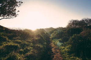 Sentier naturel ensoleillé
