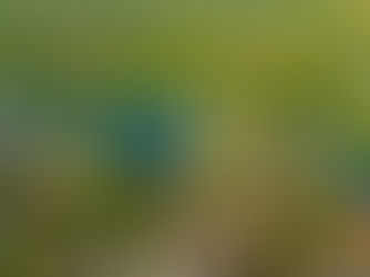 Expert Tips for Selling Your Home in Miramar and Pembroke Pines