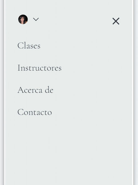 Print de una pagina de web del proyecto
