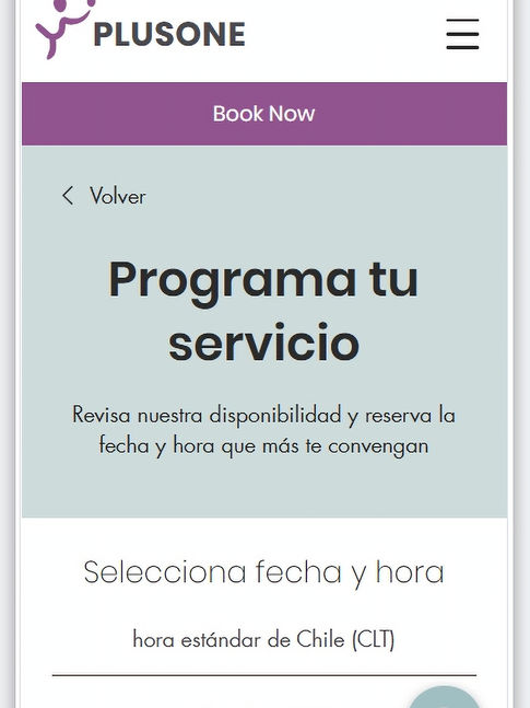 Print de una pagina de web del proyecto