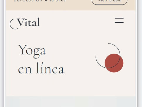Print de una pagina de web del proyecto
