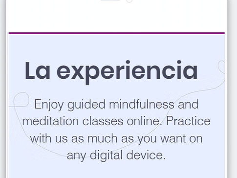 Print de una pagina de web del proyecto