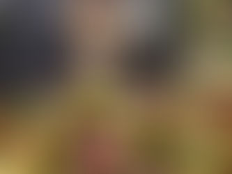 「敢闘賞」の大賞を受賞致しました✨✨