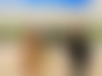 東京ボールルームダンスアカデミーにノミネートして頂きました✨✨