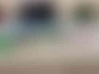 ESG Week at Qs School Box Hill