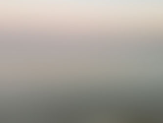 Why I Challenge Conventional Nutrition & Medicine