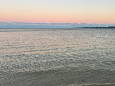 Why I Challenge Conventional Nutrition & Medicine