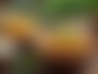 Top Supplements for Menopause Symptom Relief