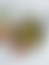 DAS HEIZT EIN AN KALTEN TAGEN: HAUSGEMACHTER GEMÜSETEE!