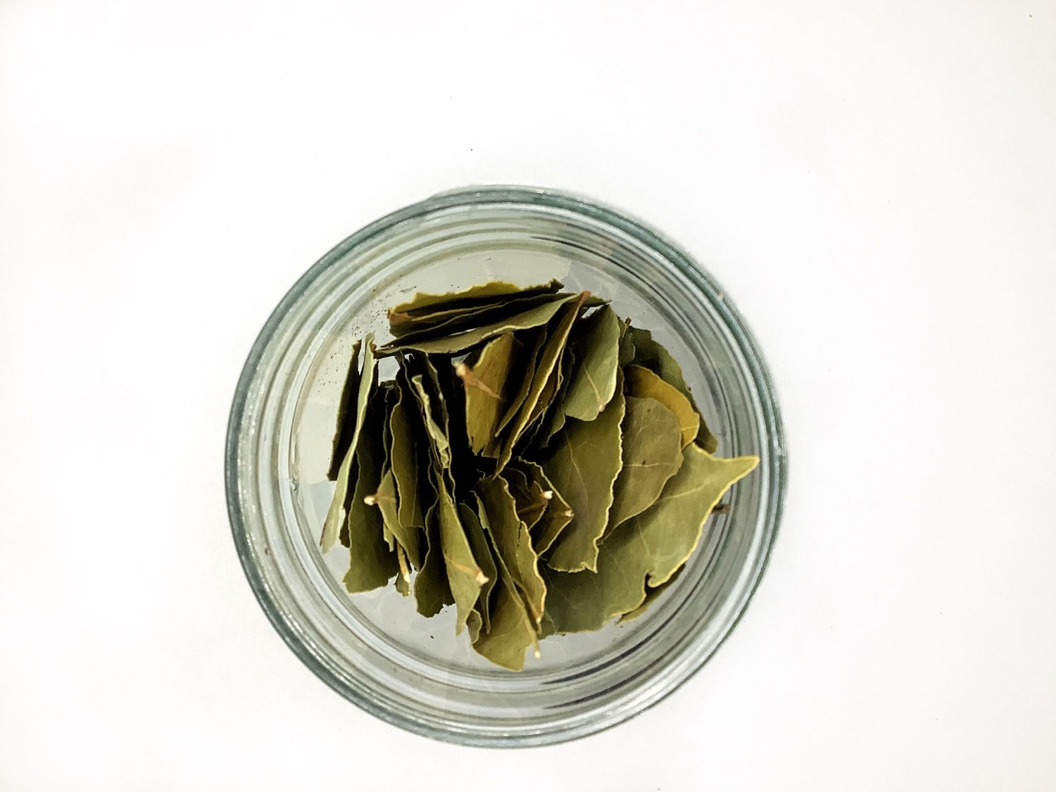 Bay Leaf