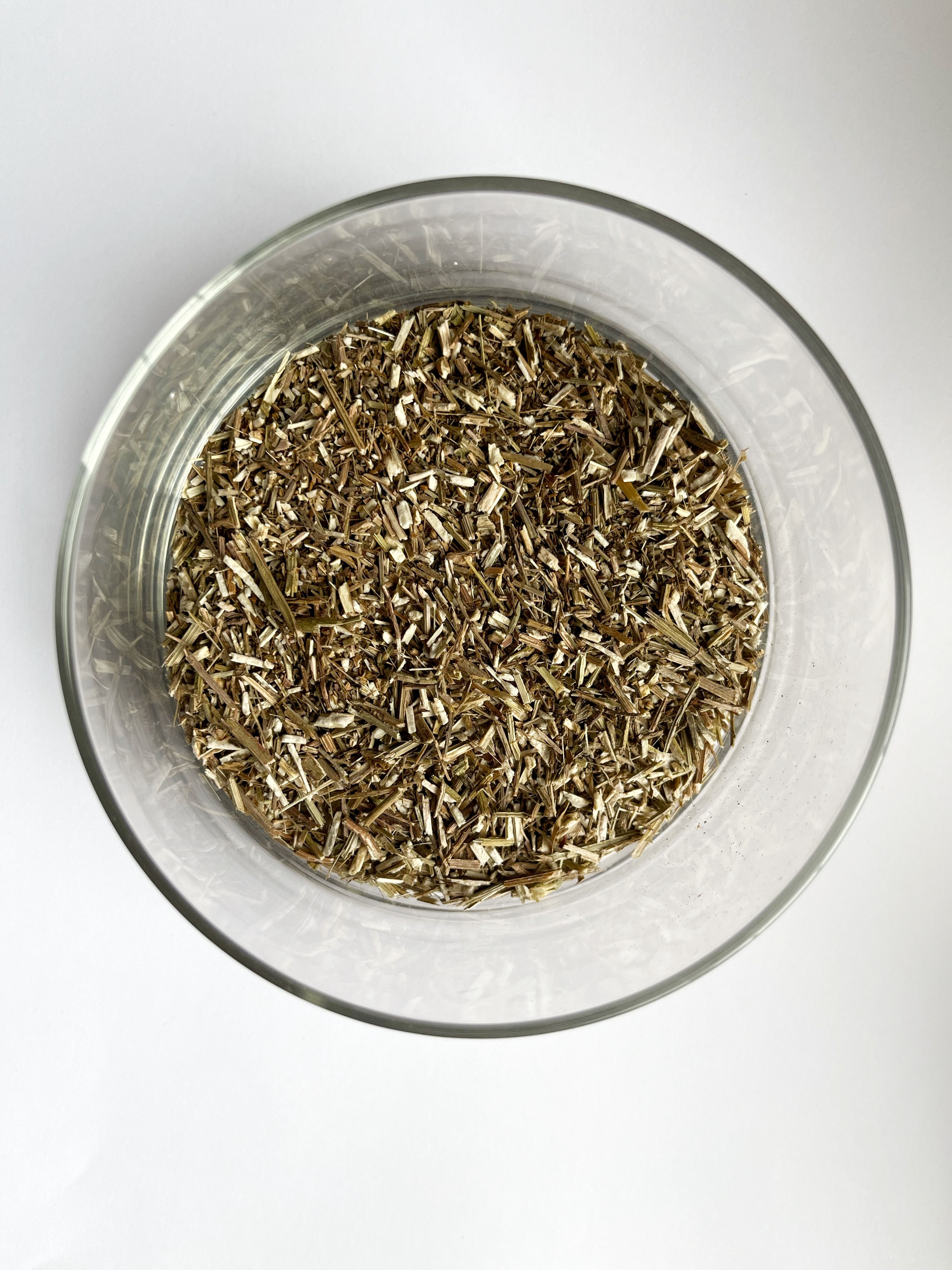 Vervain