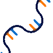 DNA.gif