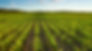 iStock-153379449_edited.jpg