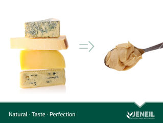 Naturally Fermented Cheese concentrates