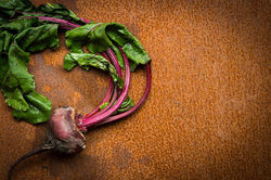 a65324_205a59eba65e4816bcb3366f95b1d5e6