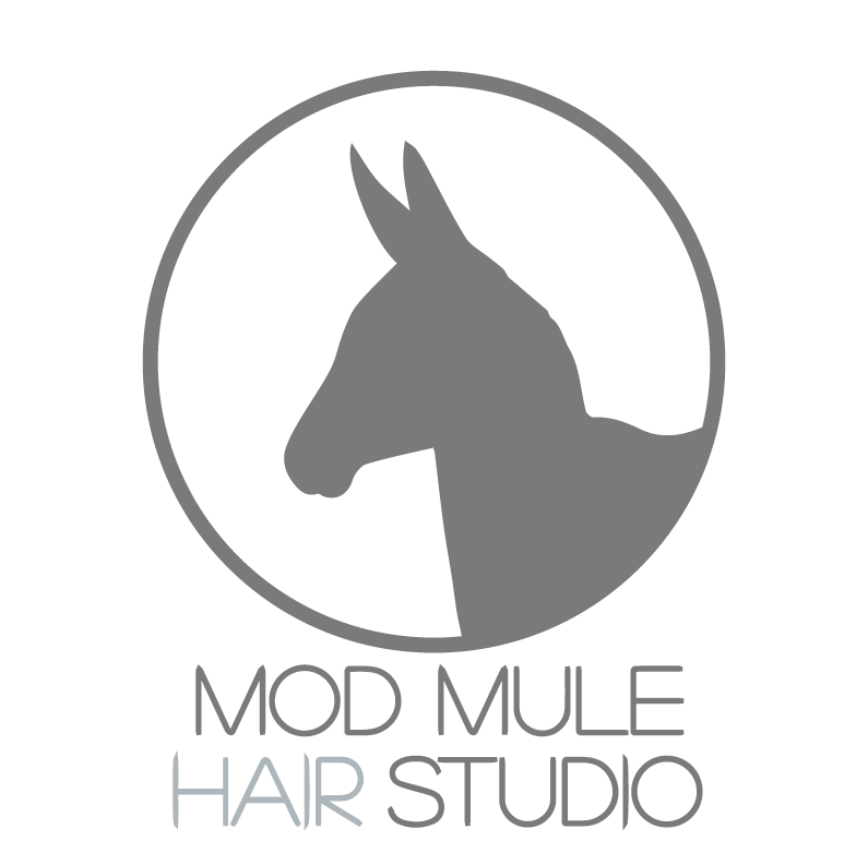 modmulehairstudiologobold.gif