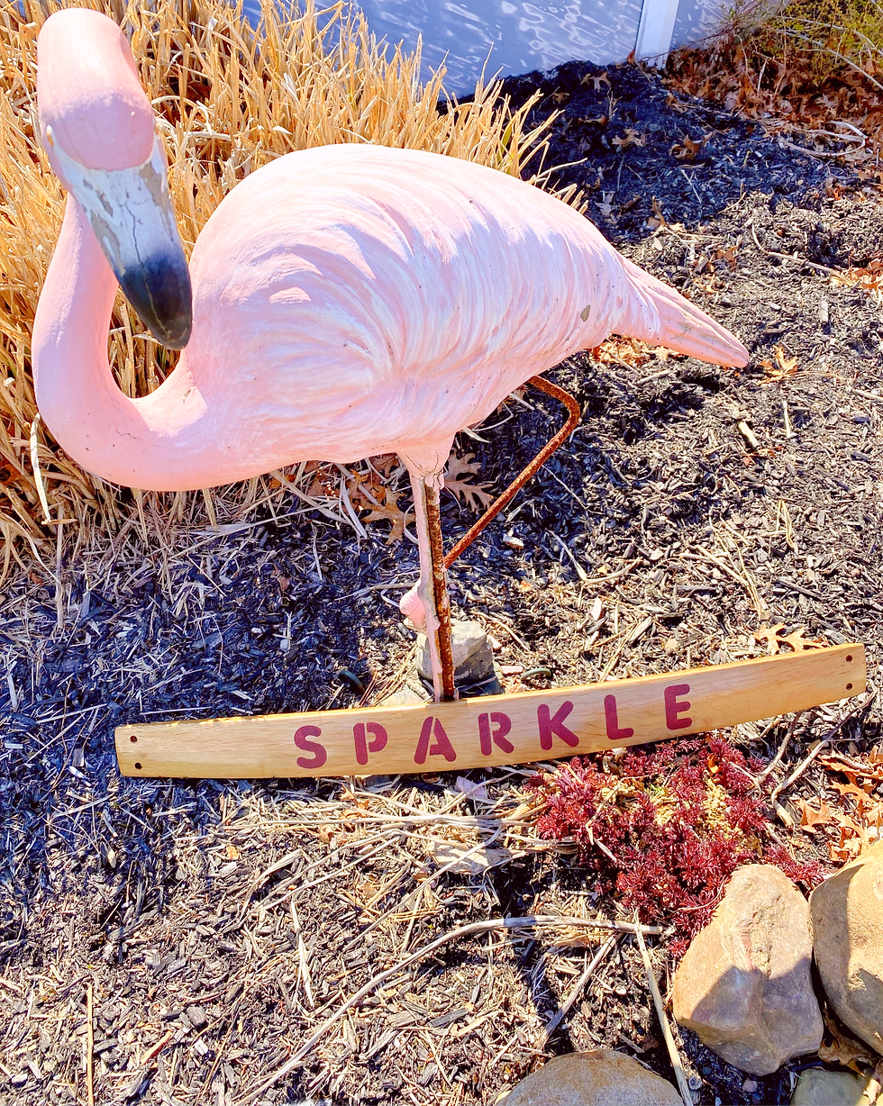 Thumbnail: Wine Barrel Staves