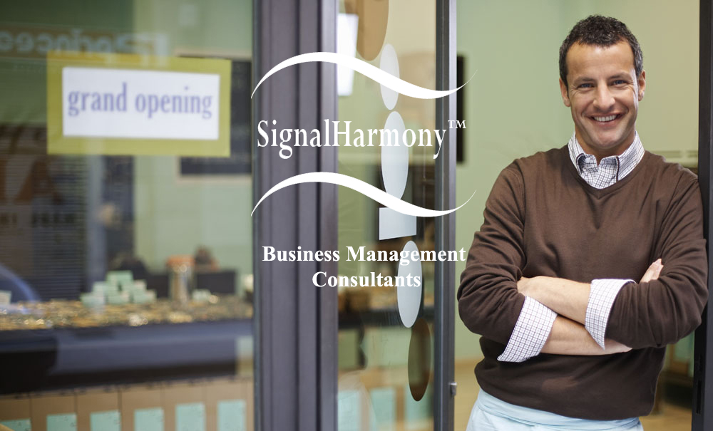 Business Consulting Services | Palmdale | SignalHarmony
