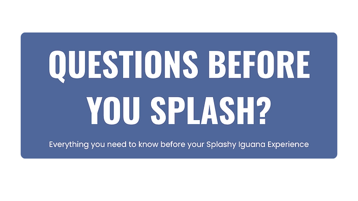 questions before splash.png
