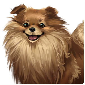 Pomeranian