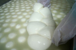 TRECCIONE DI MOZZARELLA DI BUFALA