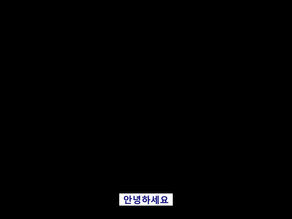 [Digital Face Mapping 매뉴얼]