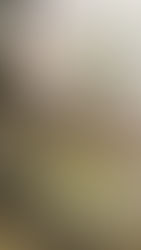 Late Night Snacks: Add something special for the end of your Wedding Night