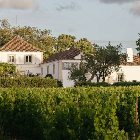Herdade Du Peru, Portugal, Destination Wedding