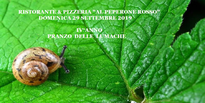 IV°ANNO PRANZO DELLE LUMACHE
