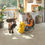 섬네일: Pebble concrete - ILLUME l AVMTU40276
