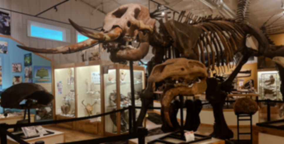 Mastodon_980x490.jpg