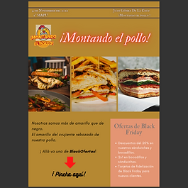 Se muestra la nesletter de canva y MailChimp