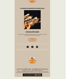 Se muestra la nesletter de canva y MailChimp