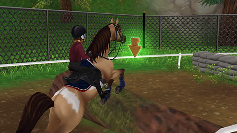 StarStable_2021-08-03_11-42-01.png