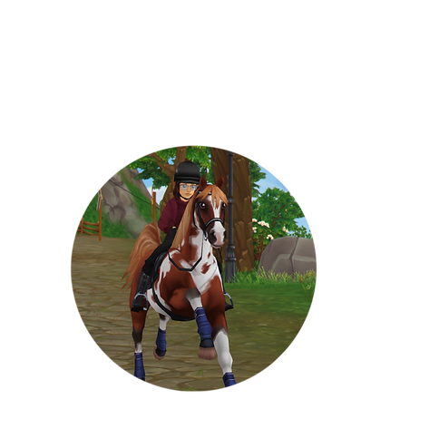 Untitled130_20210803115300.PNG