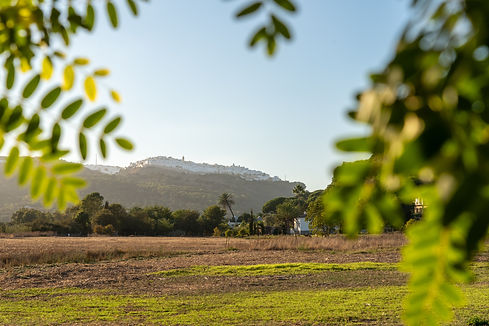 El Refugio - Main House-48.jpg