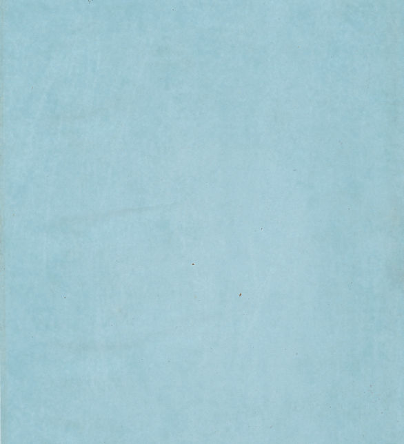 Bot_ExpoBackground.jpg