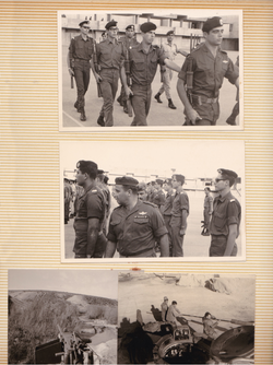 אלבום צבא סרוק 8