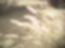 P1014977_edited_edited.jpg