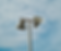 Untitled design (49).png