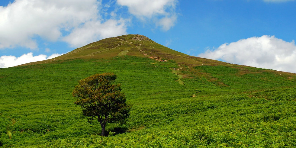 Stephen Anderton 'Gardening in the Black Mountains' - Booking essential