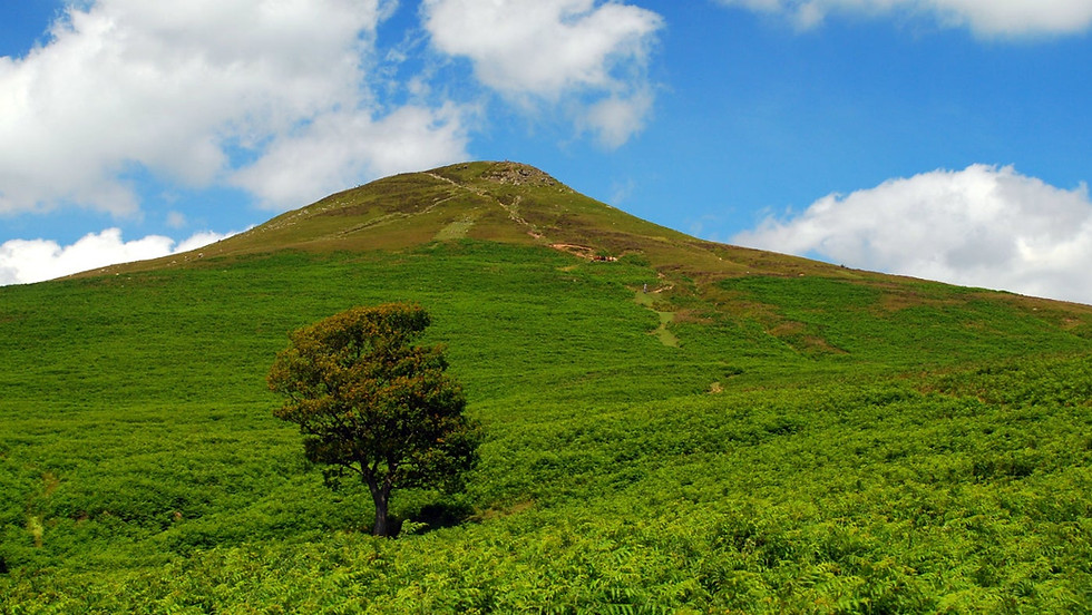 Stephen Anderton 'Gardening in the Black Mountains' - Booking essential
