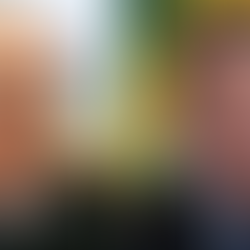 Estratégia bolsonarista: atacar Moraes e apresentar Bolsonaro como vítima.