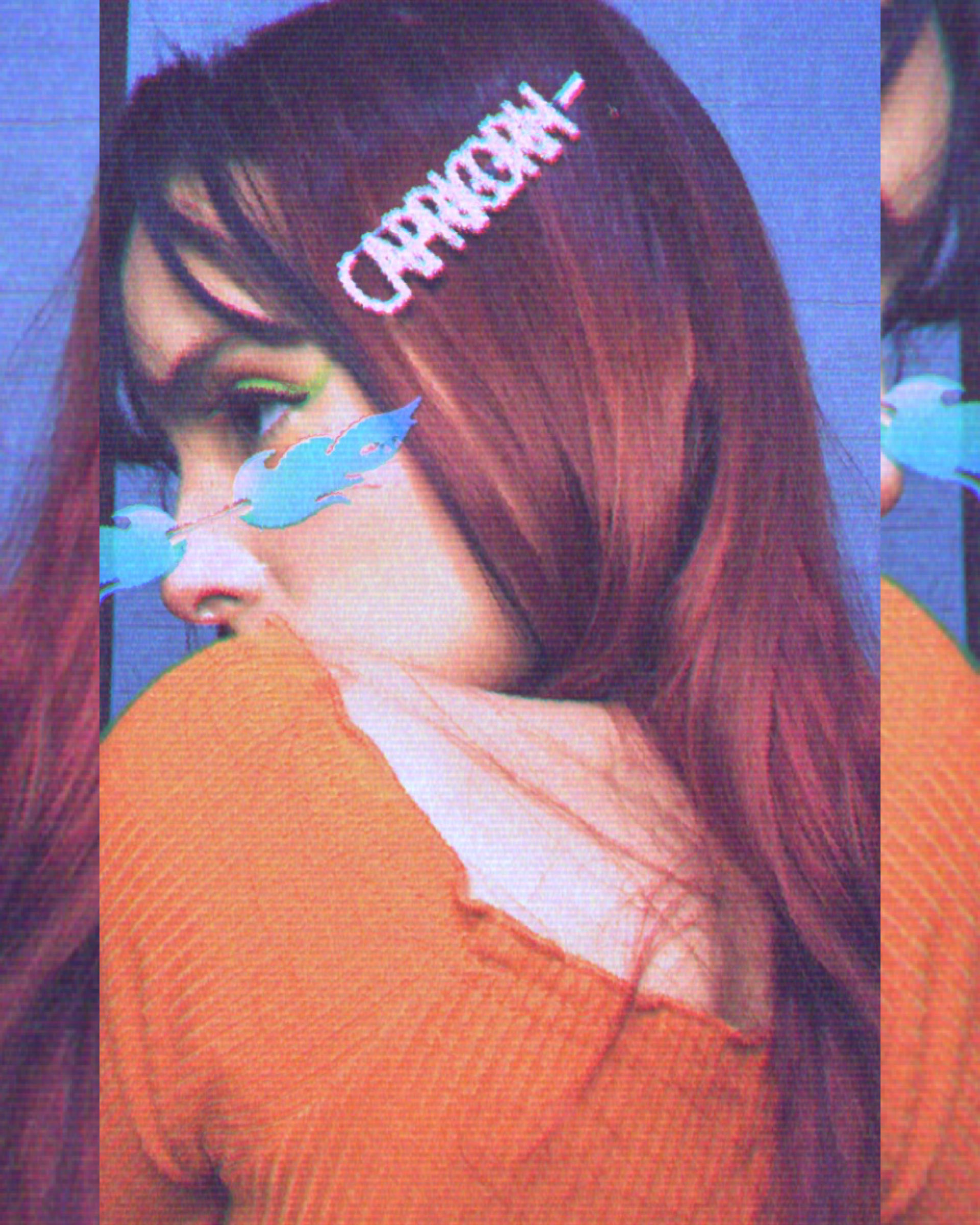 Zodiac Signs Hairpin ♑️