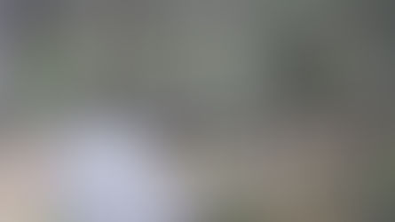 Planned Boardwalk Construction to be Financed With Alpine Shire Community Grant.