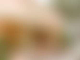  Melbourne, Palm Bay, Rockledge, Cocoa Beach, Viera, and Titusville each have distinct consumer profiles, traffic patterns, and competitive retail environments.